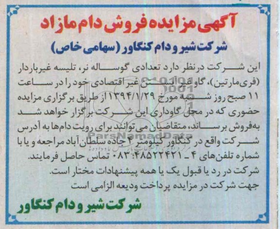 آگهی مزایده ,مزایده تعدادی گوساله نر