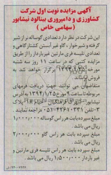 مزایده , مزایده تعدادی گوساله نر از شیر گرفته و شیرخوار