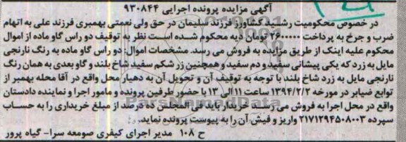 مزایده , مزایده دو راس گاو ماده