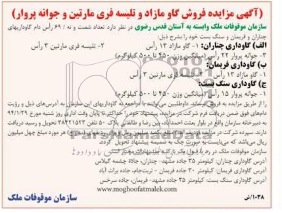 آگهی مزایده , مزایده فروش تعداد شصت و نه / 69 راس دام 