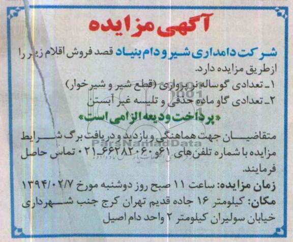 مزایده , مزایده تعدادی گوساله نر پرواری