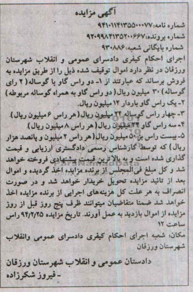 آگهی مزایده , مزایده فروش دو راس گاو با گوساله 