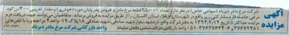 آگهی مزایده, مزایده قطعه مرغ مادر و خروس پدر