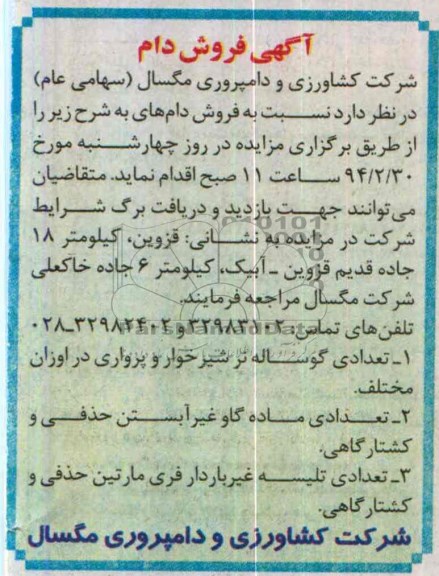 مزایده , مزایده فروش دام تعدادی گوساله نر شیرخوار و پرواری در اوزان مختلف