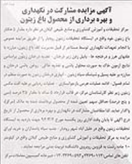 آگهی مزایده ,مزایده نگهداری و بهره برداری از محصول باغ زیتون