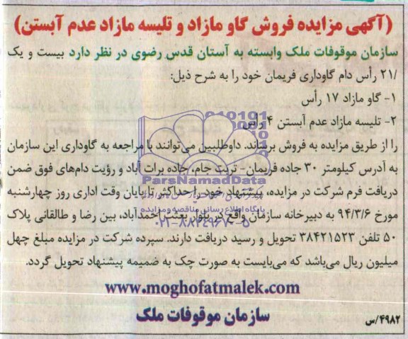 آگهی مزایده ,مزایده 21 راس گاوداری