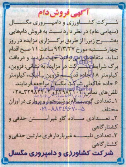 مزایده , مزایده فروش دام تعدادی گوساله نر شیرخوار و پرواری در اوزان مختلف