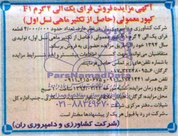 آگهی مزایده ,آگهی مزایده فروش فرای یک الی 4 گرم F1 کپور معمولی