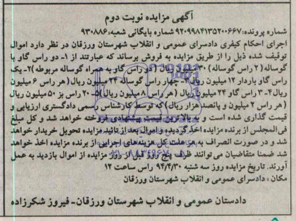 مزایده دو راس گاو با گوساله
