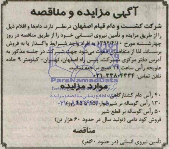 مزایده , مزایده  40 راس دام کشتارگاه 