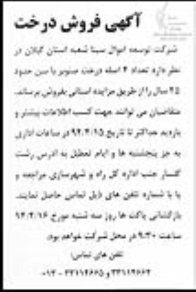 مزایده , مزایده فروش 4 اصله درخت صنوبر