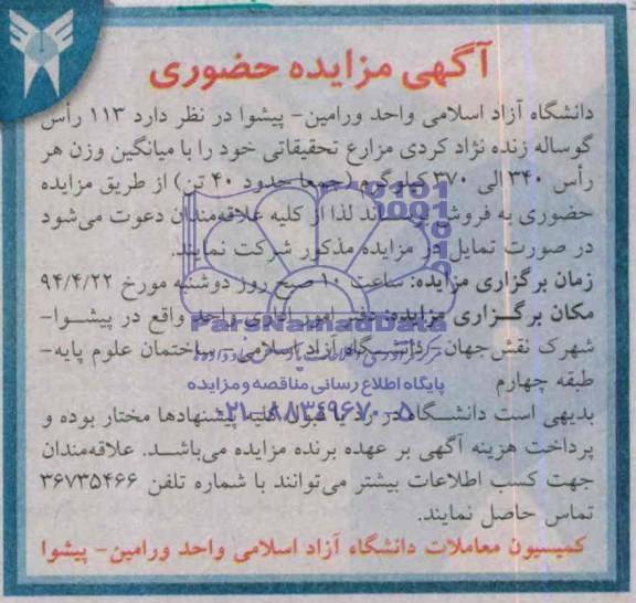 آگهی مزایده حضوری , مزایده فروش 113 راس گوساله زنده نژاد کردی مزارع تحقیقاتی