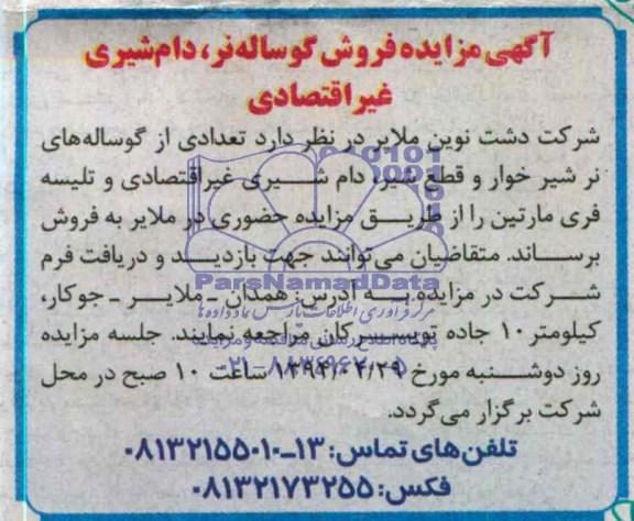 آگهی مزایده , مزایده فروش گوساله نر ، دام شیری غیراقتصادی