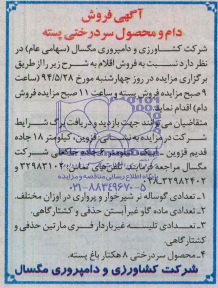 آگهی فروش , مزایده دام و محصول سردرختی پسته