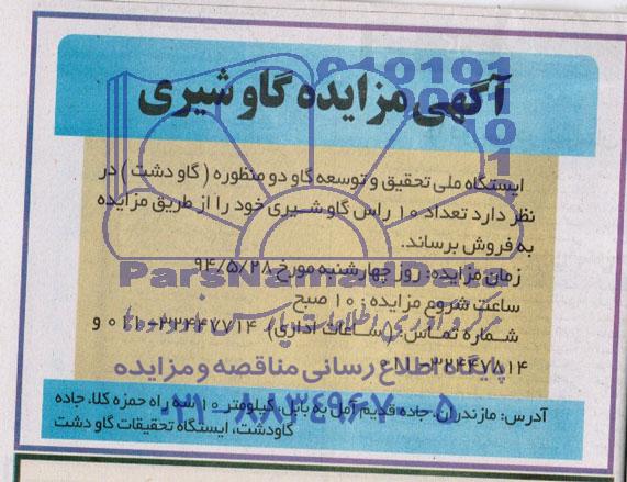 آگهی مزایده,مزایده گاو شیری