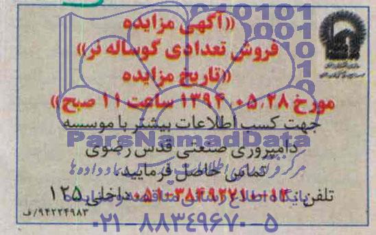 مزایده, مزایده فروش تعدادی گوساله نر