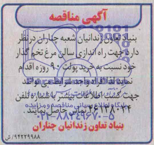 آگهی مناقصه ,  مناقصه خرید پولت 90 روزه