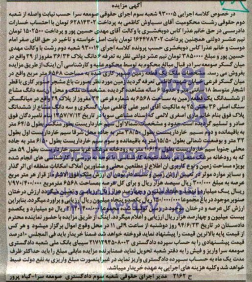 مزایده,زمین صنوبرکاری شده 