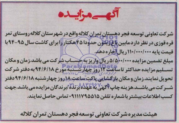 مزایده , مزایده مابین باغ زیتون حدودا 45 هکتار