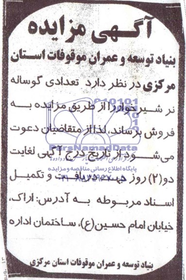 مزایده تعدادی گوساله نر شیر 
