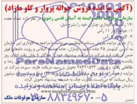 آگهی مزایده , مزایده فروش تعداد هفده راس دام گاوداری چناران 