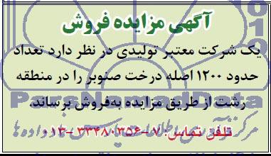 مزایده , مزایده فروش تعداد حدود 1200 اصله درخت صنوبر