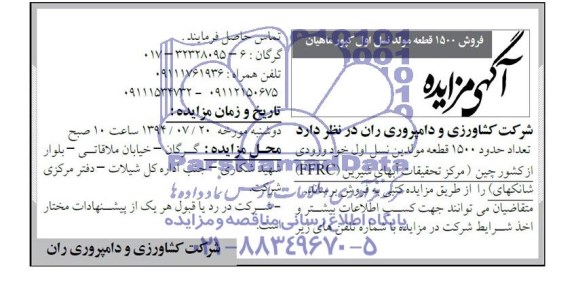 آگهی مزایده , مزایده فروش 1500 قطعه مولد نسل اول کپور ماهیان