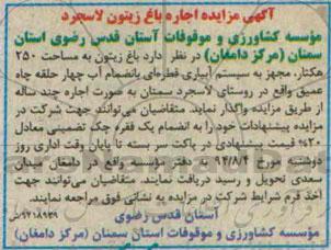 آگهی مزایده,مزایده اجاره باغ زیتون لاسجرد 