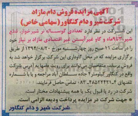مزایده , مزایده فروش دام مازاد