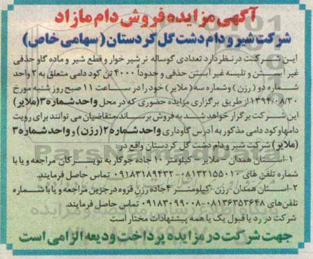 مزایده , مزایده تعدادی گوساله نر شیرخوار و قطع شیر و گاو نر 