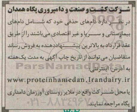 مزایده دام های حذفی که شامل دام های بیمارستانی و سرپا و غیر اقتصادی