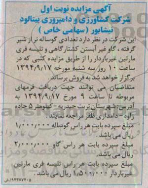آگهی مزایده,مزایده تعدادی گوساله نر از شیر گرفته نوبت اول