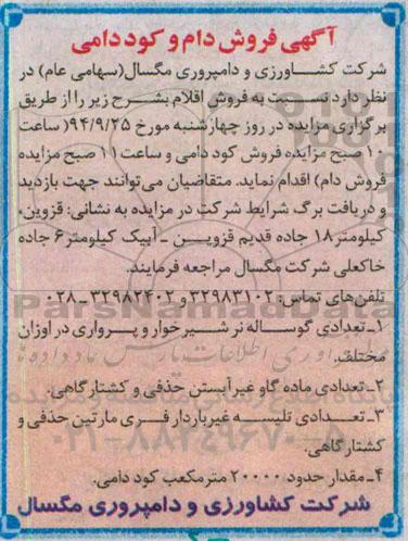 آگهی مزایده , مزایده تعدادی گوساله نر شیرخوار و پرواری در اوزان مختلف...