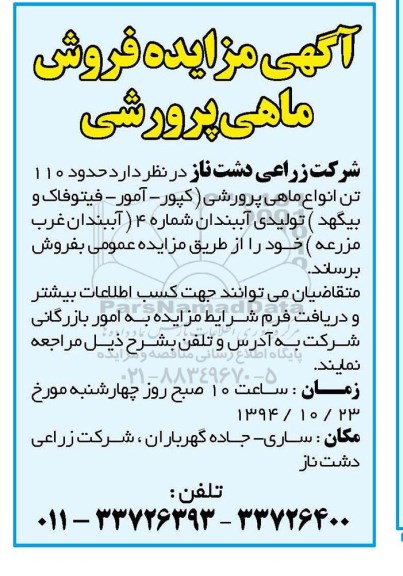 مزایده,فروش ماهی پرورشی