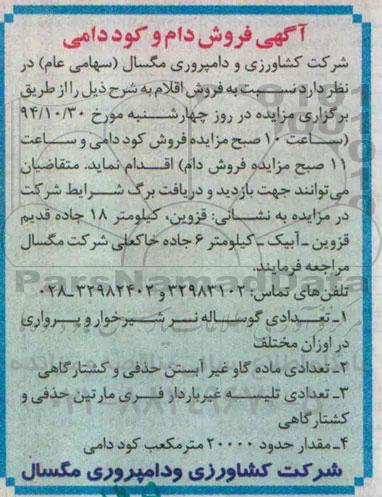 آگهی مزایده , مزایده تعدادی گوساله نر شیرخوار و ...