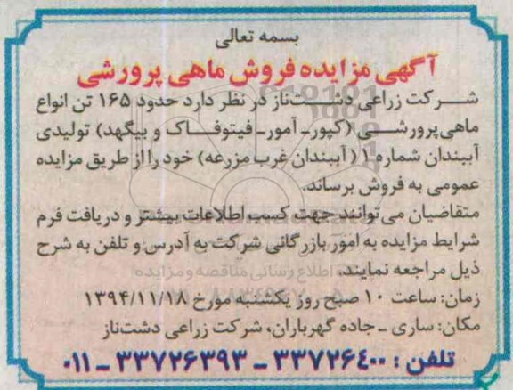 مزایده,فروش ماهی پرورشی
