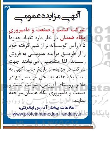 مزایده , مزایده تعداد حدودا 35 راس گوساله نر از شیر گرفته 