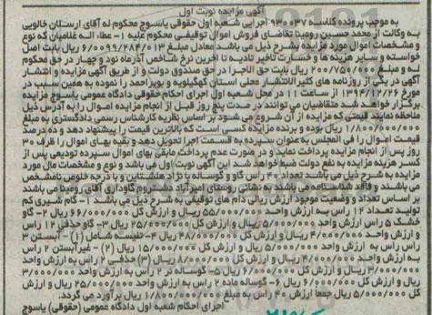 مزایده,مزایده 40 راس گاو و گوساله با نژاد هلشتاین