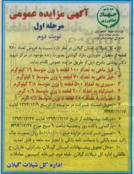 آگهی مزایده عمومی,مزایده فروش تعداد 970 قطعه از ماهیان خاویاری مازاد گوشتی- نوبت دوم