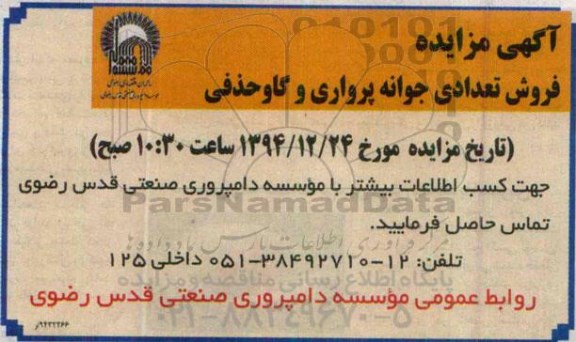 آگهی مزایده , مزایده فروش تعدادی جوانه پرواری و گاو حذفی