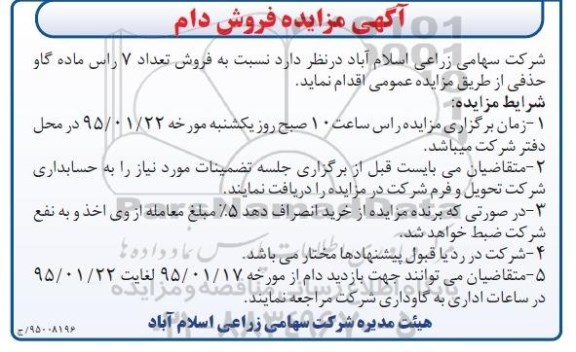 مزایده فروش تعداد 7 راس ماده گاو حذفی