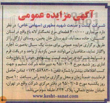 مزایده مرغداری 400.000 قطعه ای مرغ تخمگذار لاله