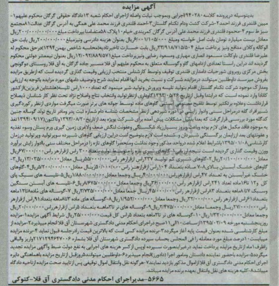 آگهی مزایده ,مزایده گاوهای شیری تازه