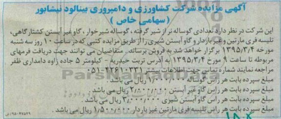 آگهی مزایده, مزایده تعدادی گوساله نر از شیر گرفته ، گوساله شیرخوار ....