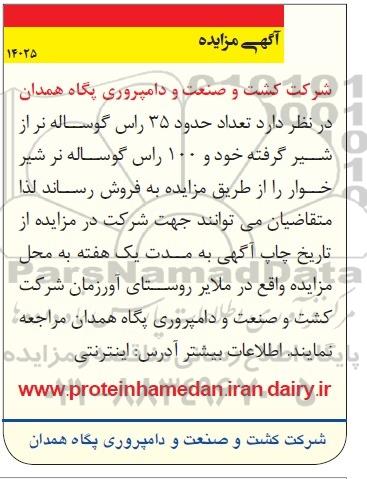 آگهی مزایده,مزایده حدود 35 راس گوساله نر 