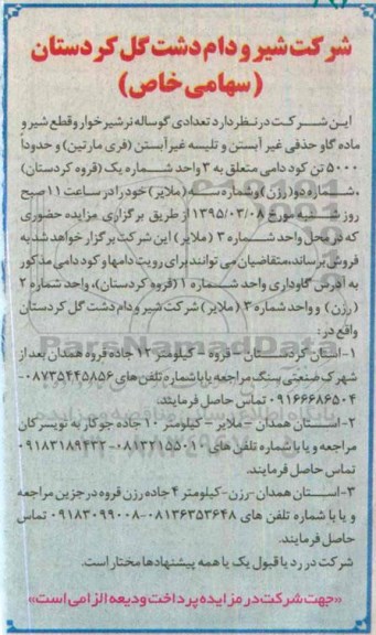مزایده , مزایده تعدادی گوساله نر شیرخوار