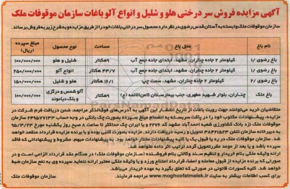 آگهی مزایده , مزایده  فروش سردرختی هلو و شلیل و انواع آلو باغات