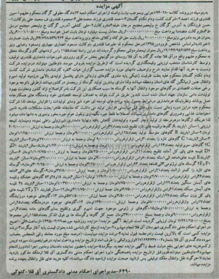 آگهی مزایده, مزایده 1155 رأس گاو و گوساله