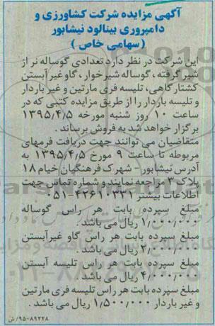آگهی مزایده, مزایده تعدادی گوساله نر از شیر گرفته ، گوساله شیرخوار ، گاو غیر آبستن کارگاهی ....