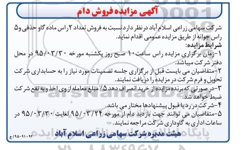 مزایده ,مزایده فروش تعداد 2 راس ماده گاو حذفی و 5 راس جوانه